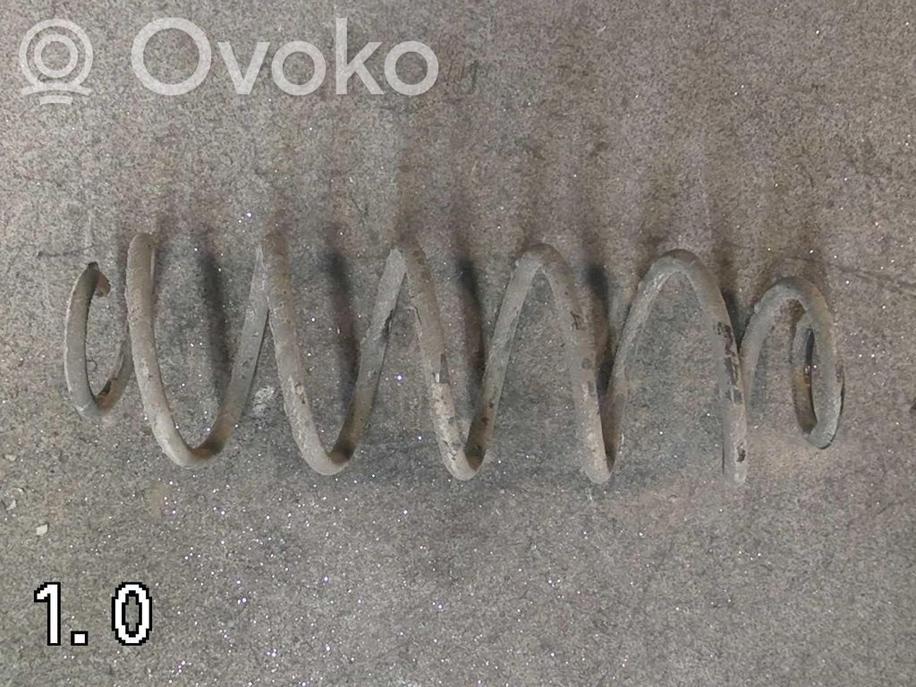 Rear coil spring   5102CV