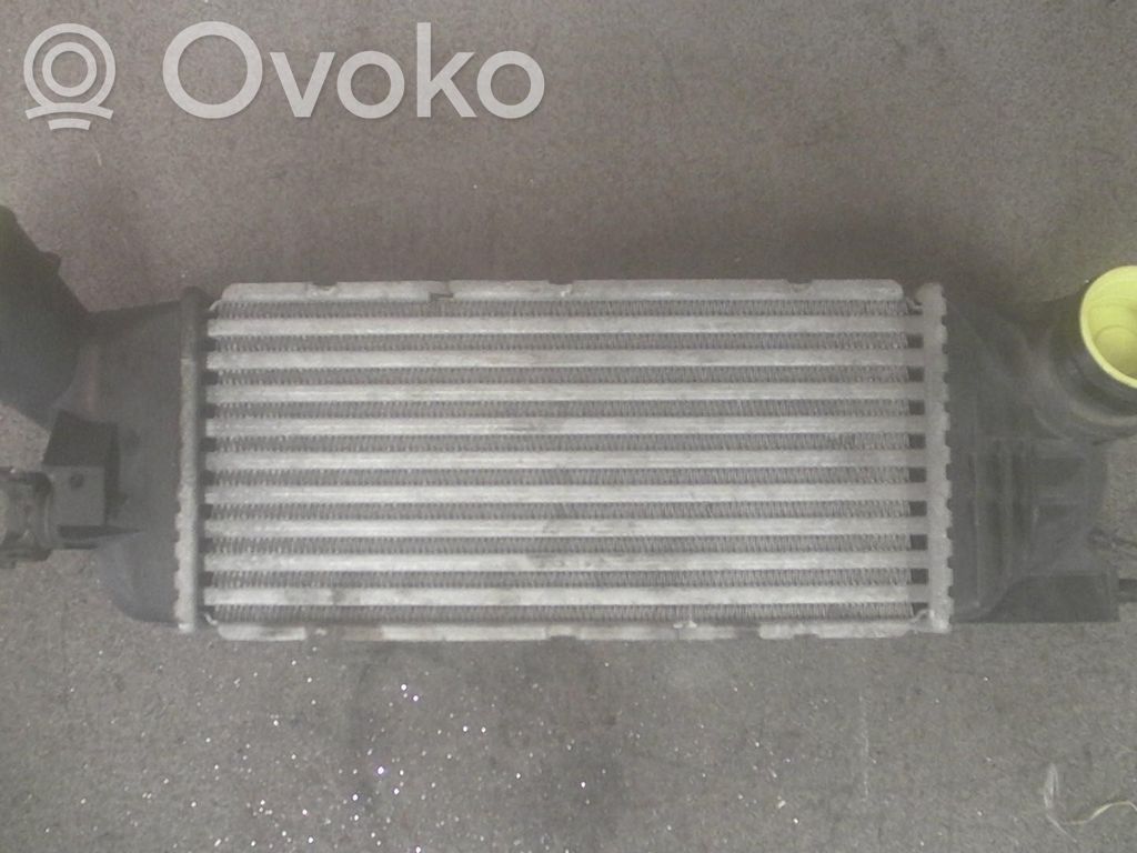 Peugeot 407 Intercooler radiator 