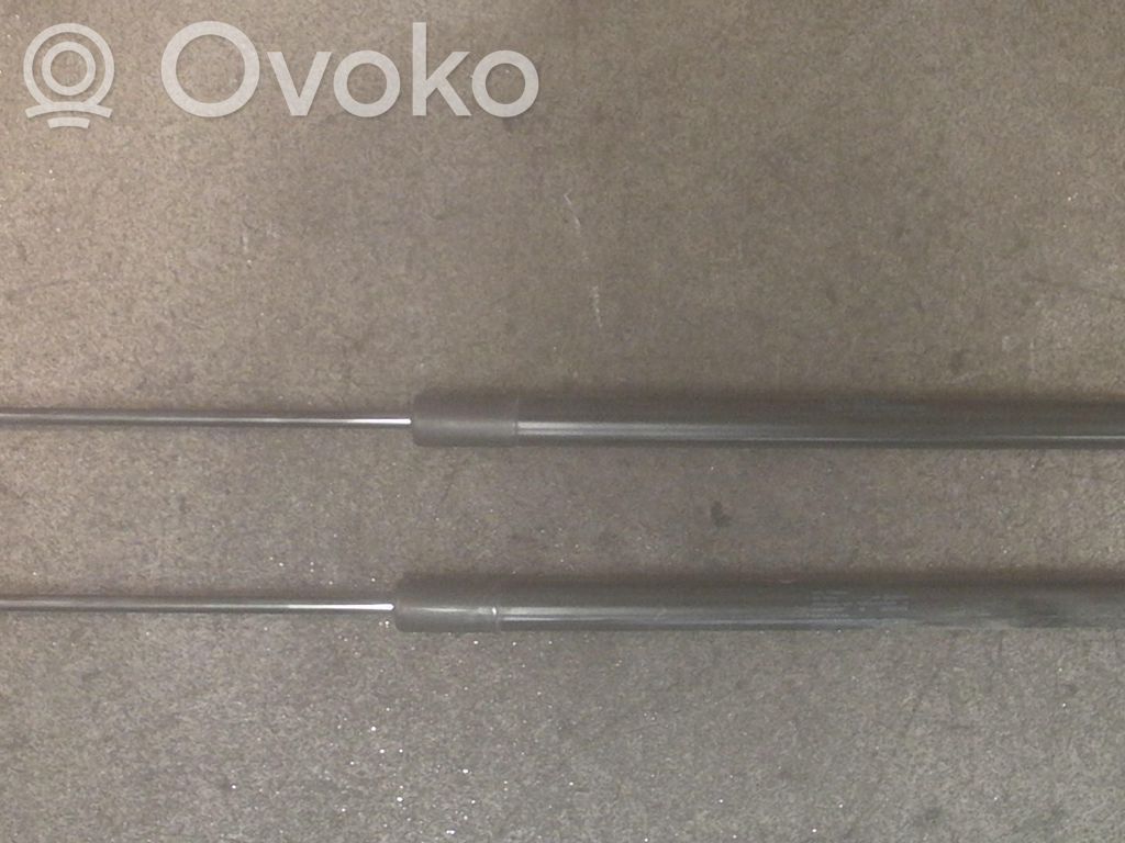 Tailgate/trunk strut/damper   2STK,575827550B