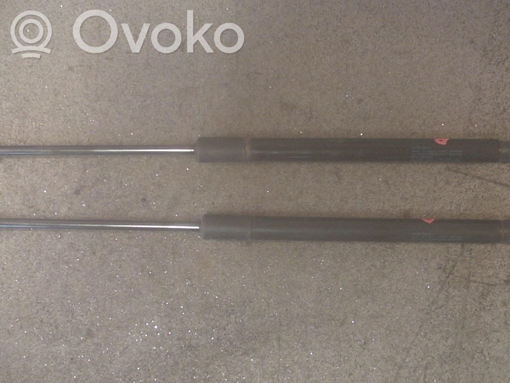 Volkswagen PASSAT B7 Tailgate/trunk strut/damper 