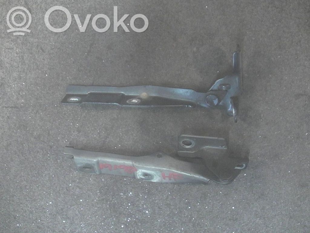 Engine bonnet/hood hinges   7912F6
