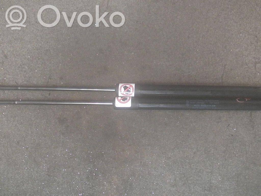 Amortizor hayon   2STK,1757865
