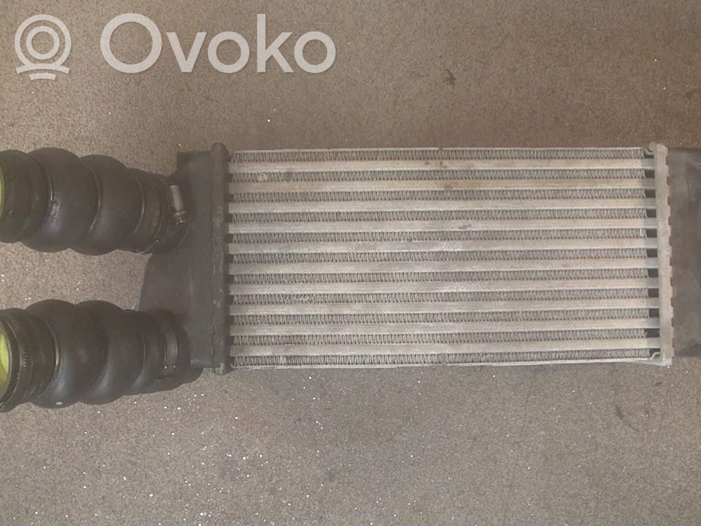 Peugeot 307 Radiator intercooler 