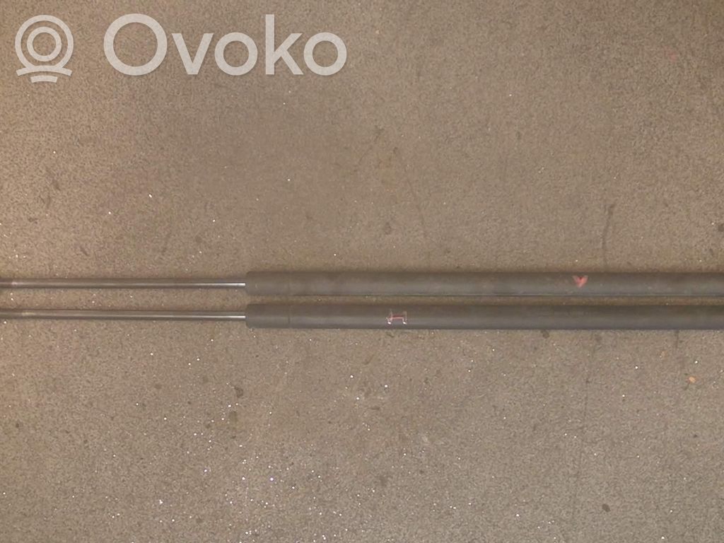Vérin de capot arrière   2STK