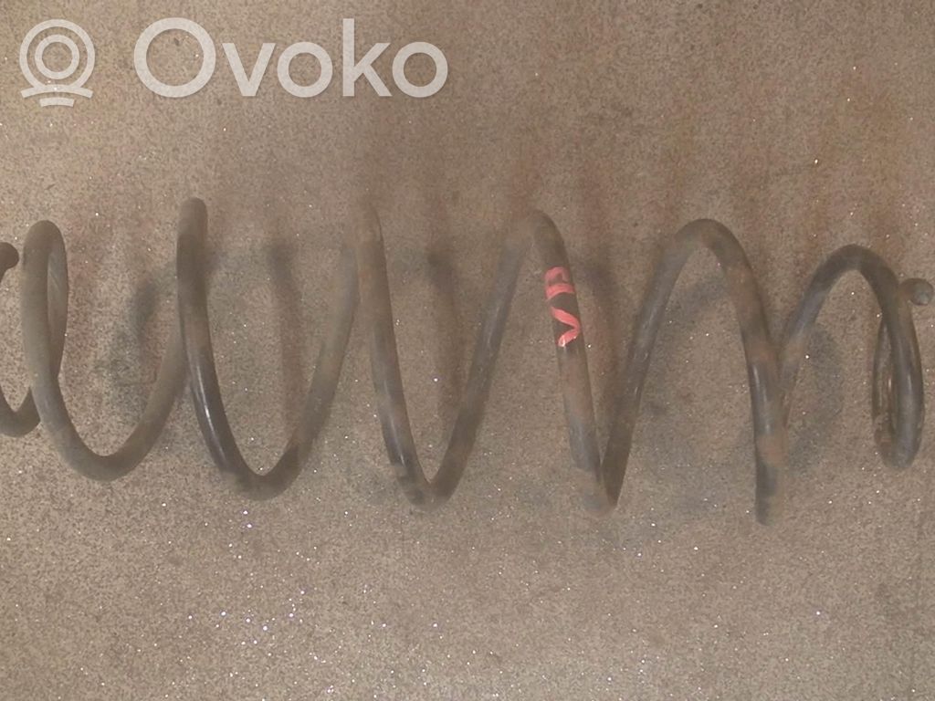 Muelle espiral trasero