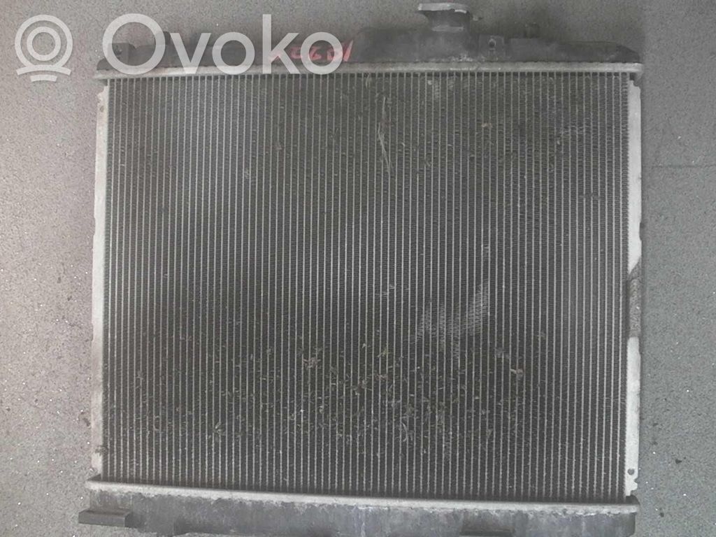 Radiatore di raffreddamento   1770073KA0000