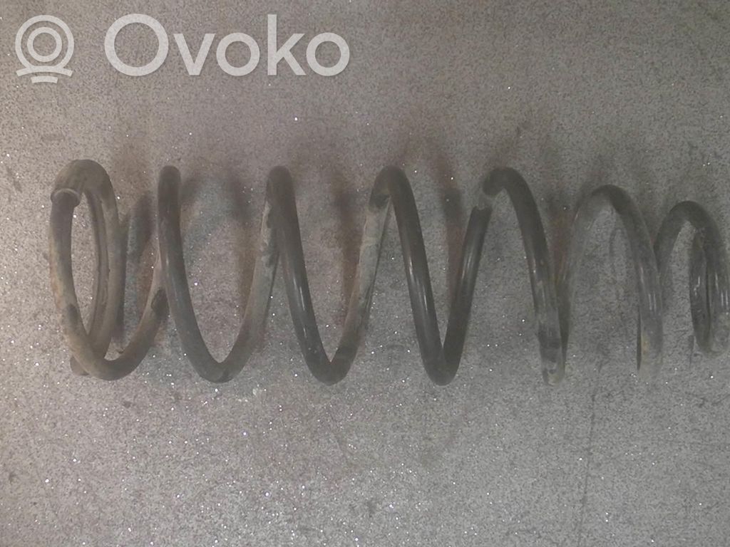 Muelle espiral trasero