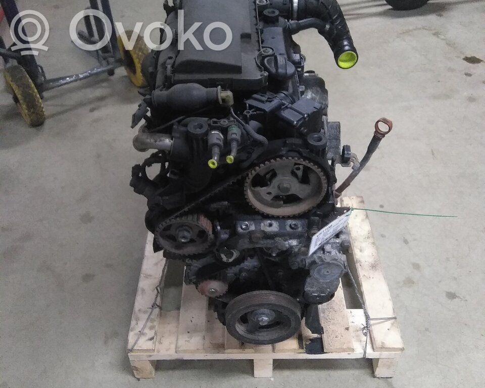 Motor