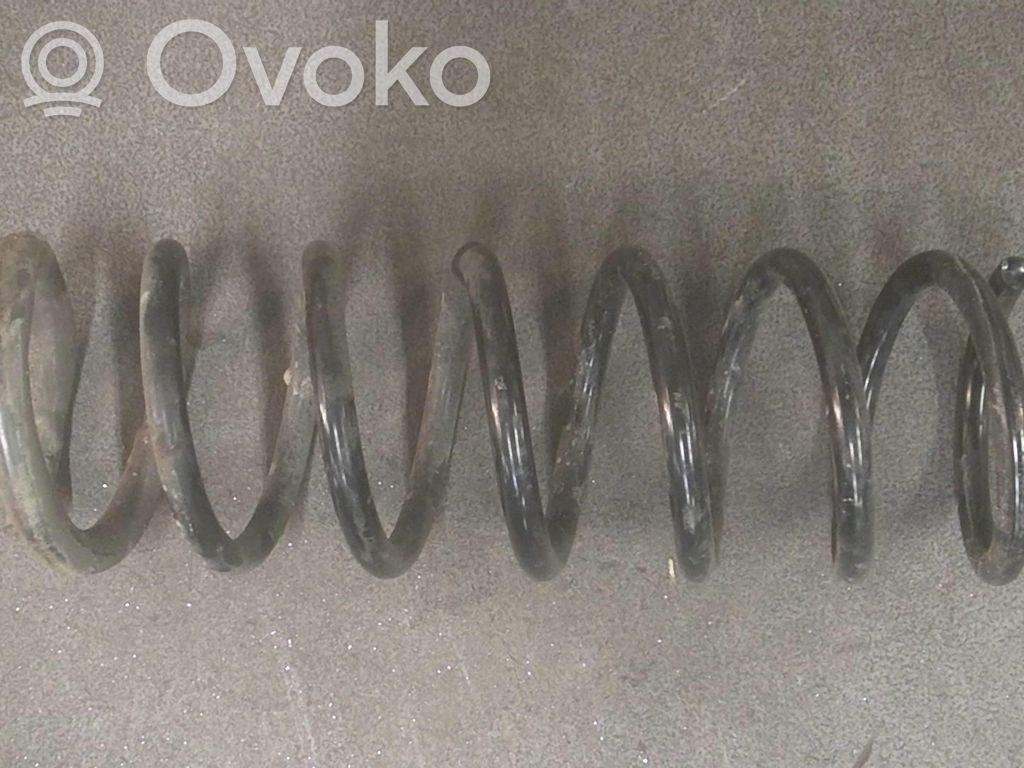 Rear coil spring   1377694