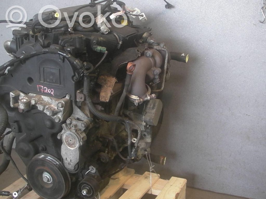 Motor