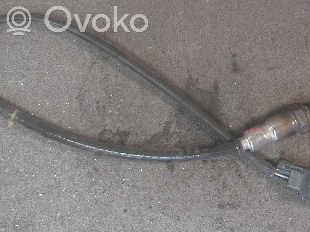 Sonde lambda