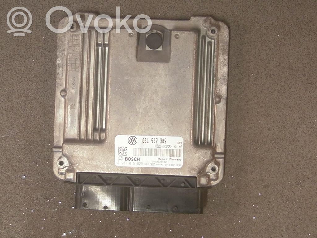 Sterownik / Moduł ECU