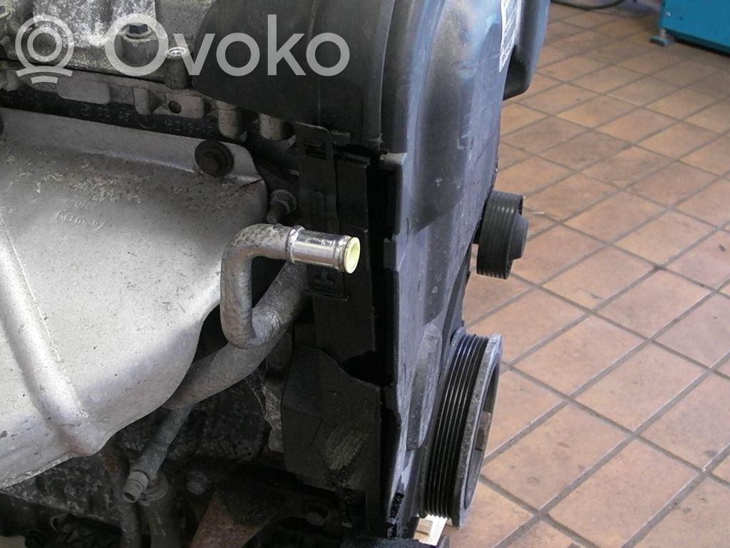 Motor