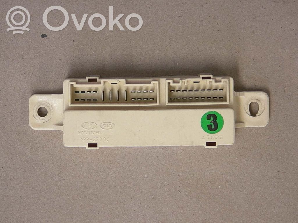 Altre centraline/moduli   919402H130