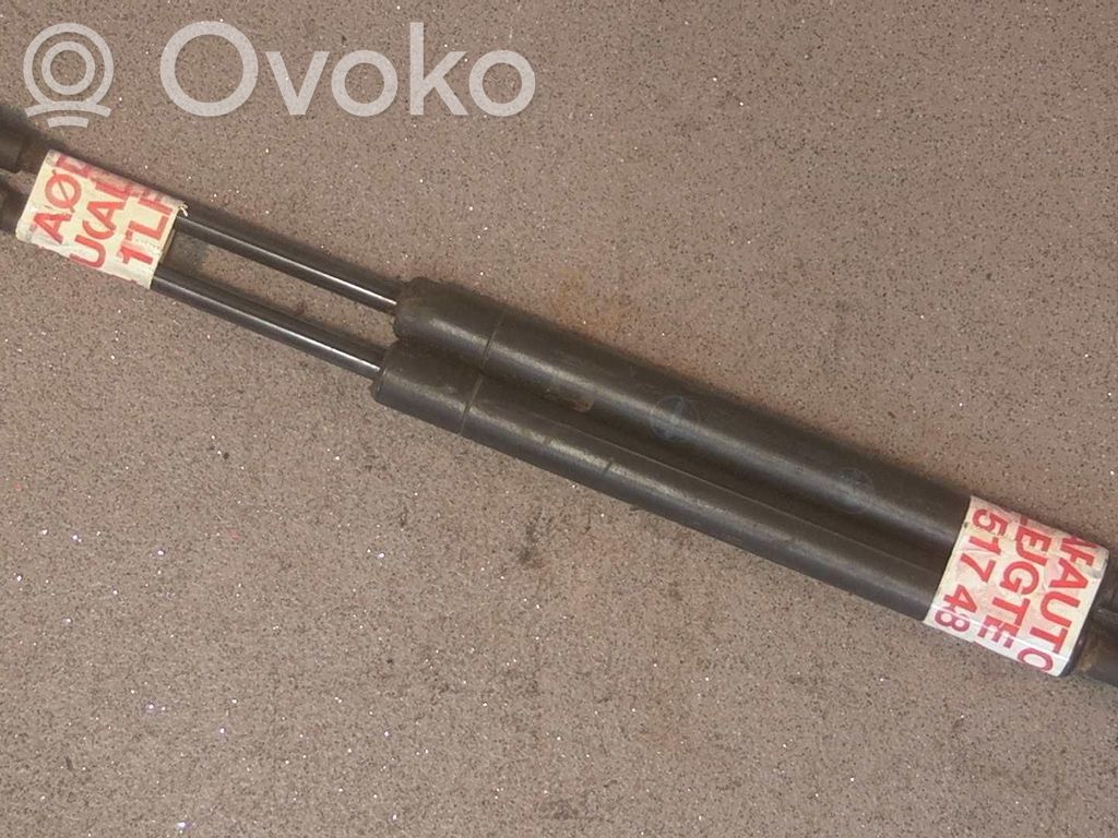 Tailgate/trunk strut/damper