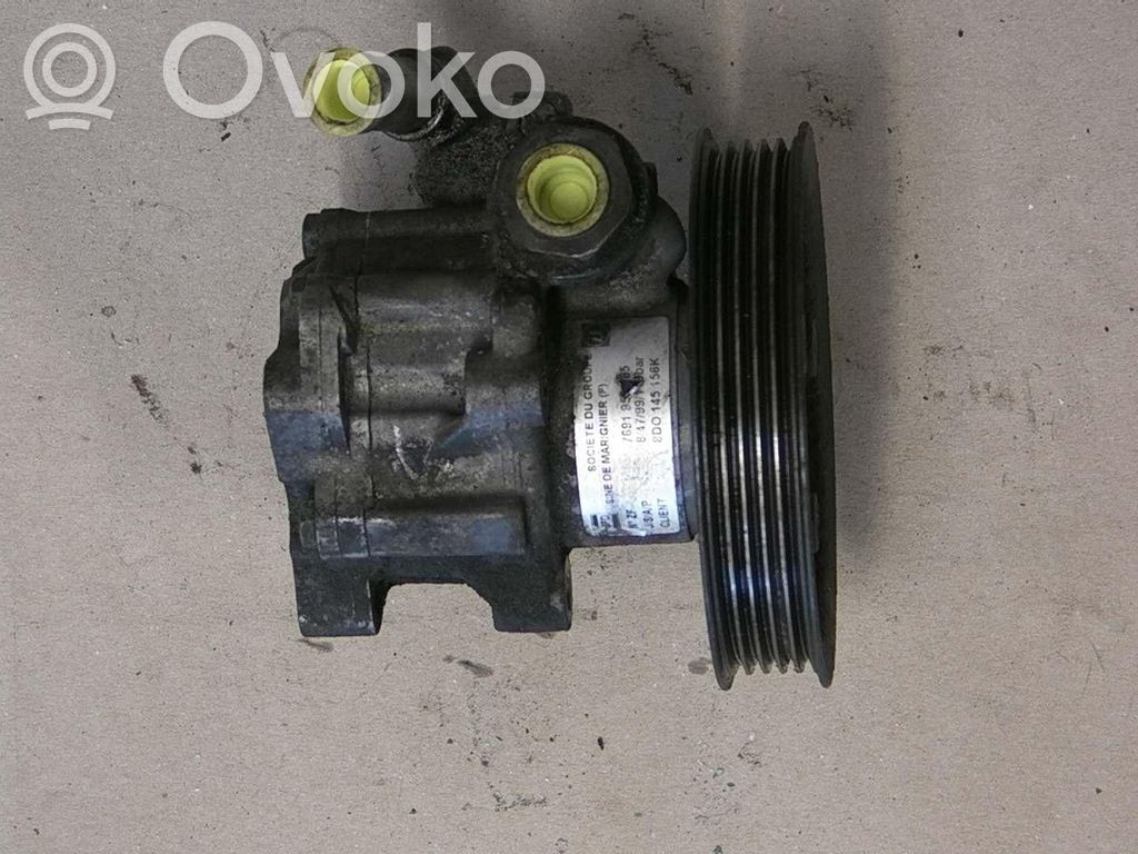 Volkswagen PASSAT B5 Pompa servosterzo 