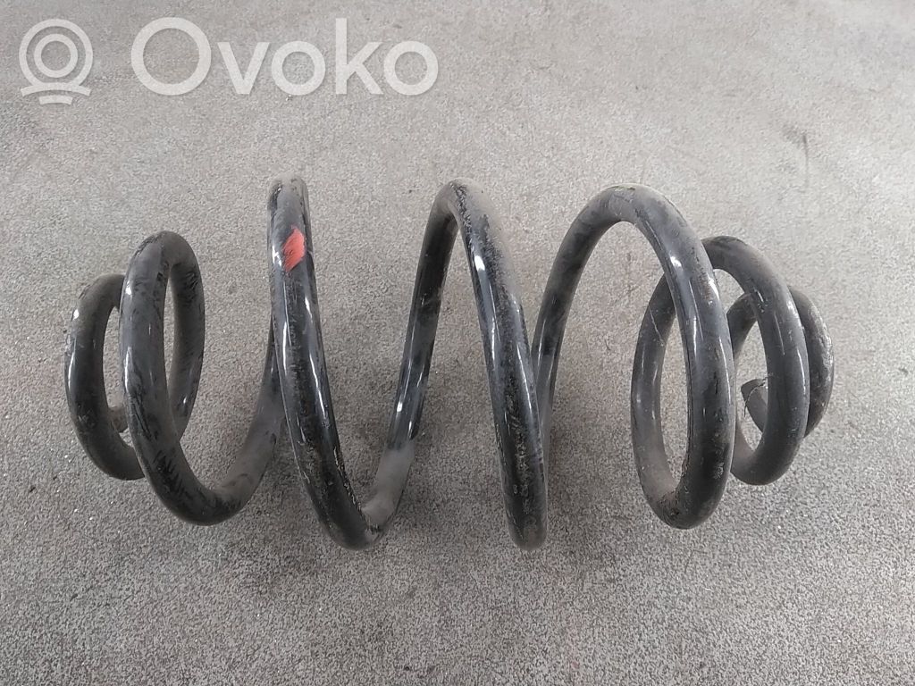 Muelle espiral trasero
