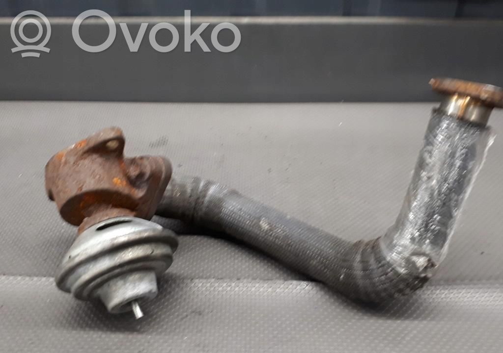 Válvula EGR   10022097T036