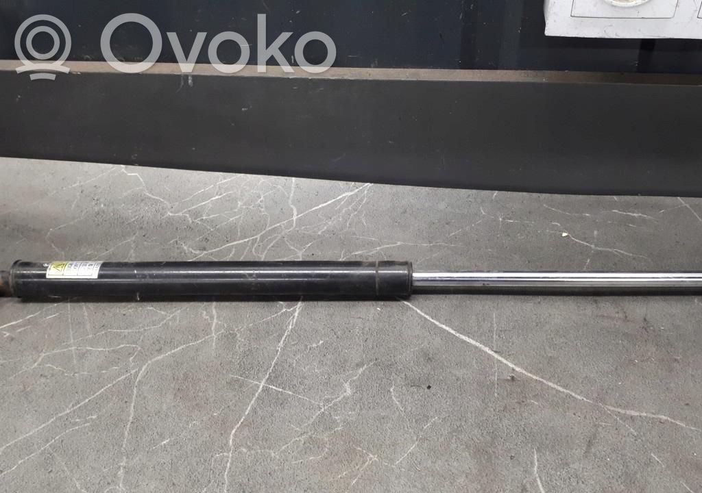 Tailgate strut   963061579