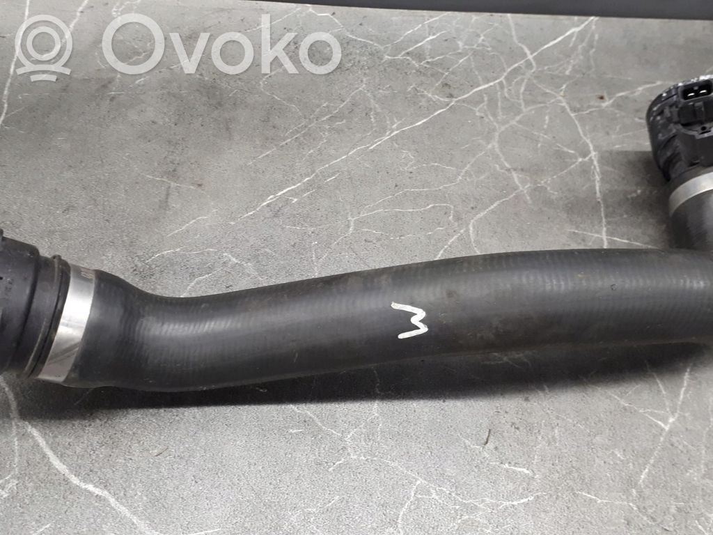 Caurulīte (-es) / šļūtene (-es)   7519257