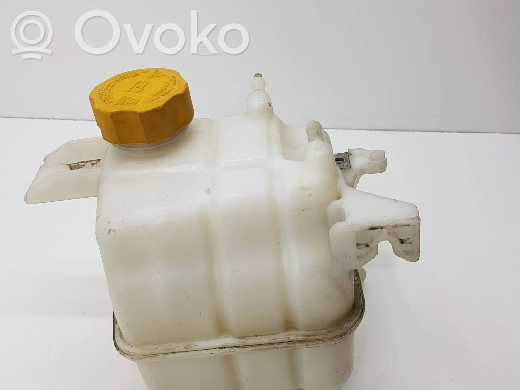 Opel Antara Aušinimo skysčio išsiplėtimo bakelis 