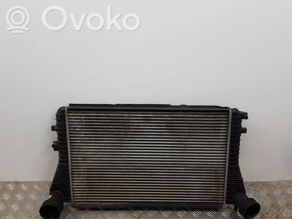 Volkswagen Golf V Interkūlerio radiatorius 
