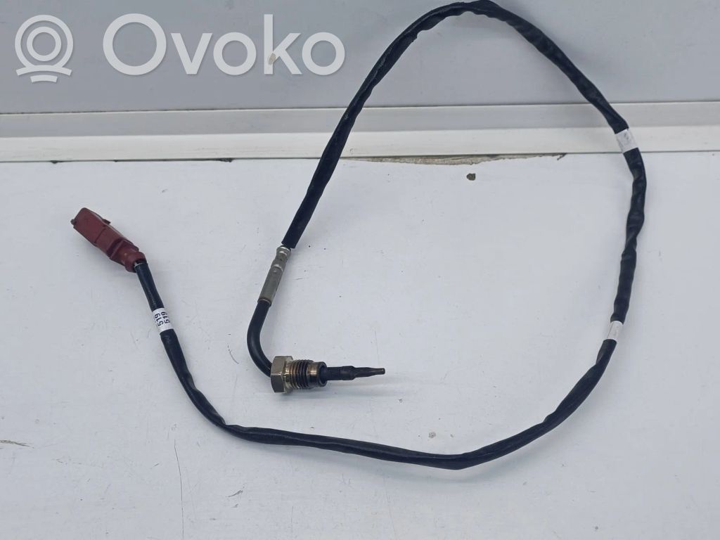 Skoda Scala Išmetamųjų dujų temperatūros daviklis 