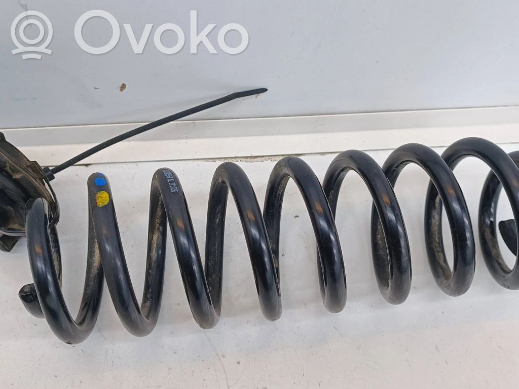 Dacia Spring Rear coil spring 