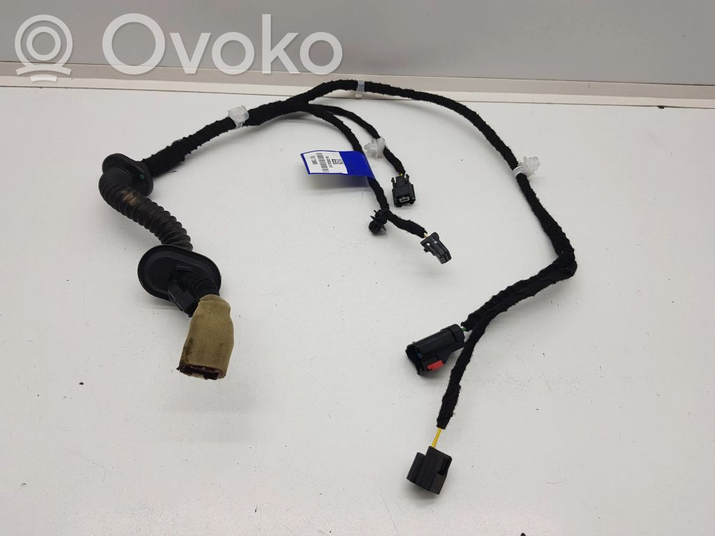 Cableado de puerta delantera   241255021R