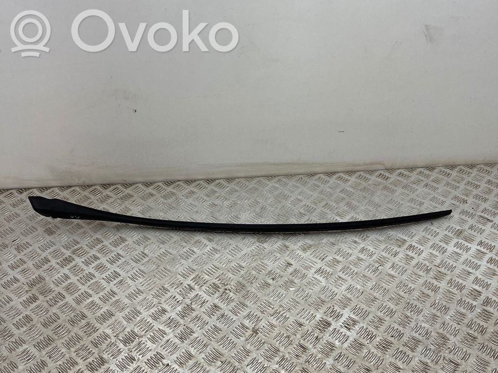 Citroen DS4 Windshield trim 