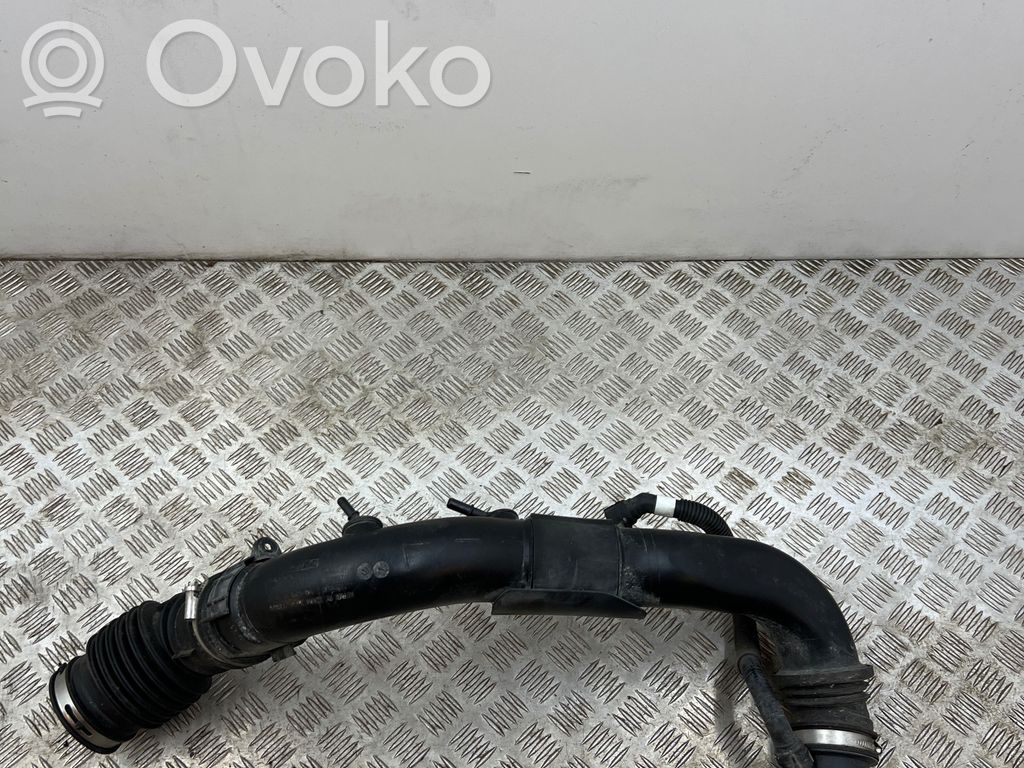Ford Focus Interkūlera šļūtene (-es) / caurule (-es) 