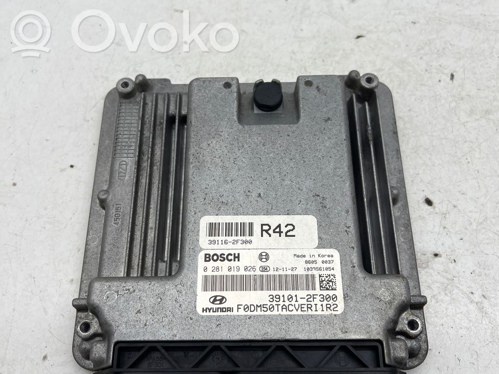 Engine control unit/module   391162F300,391012F300,0281019026