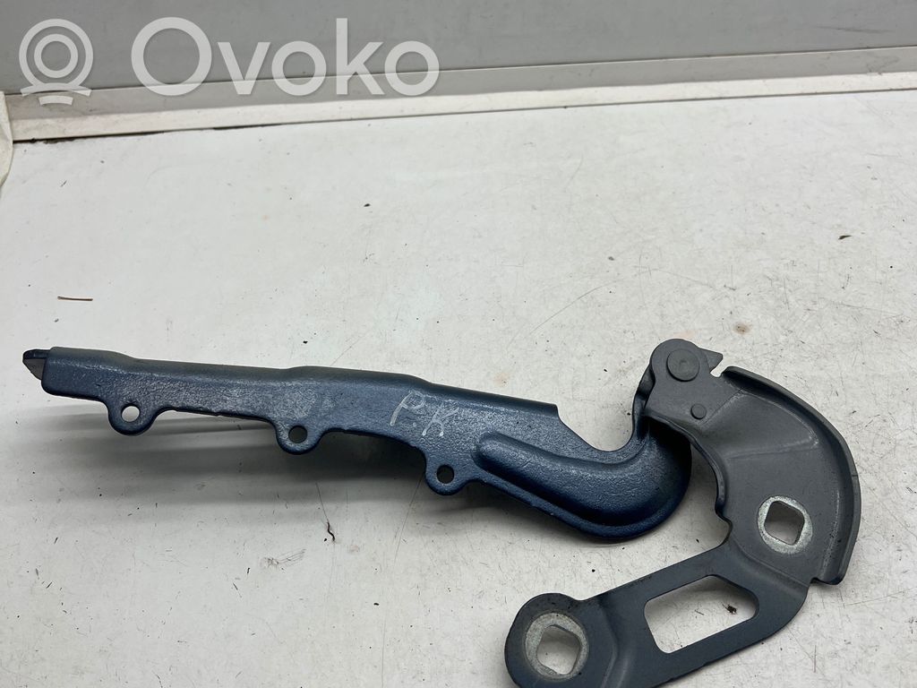 Ford Focus Dzinēja pārsega eņģe (-es) 