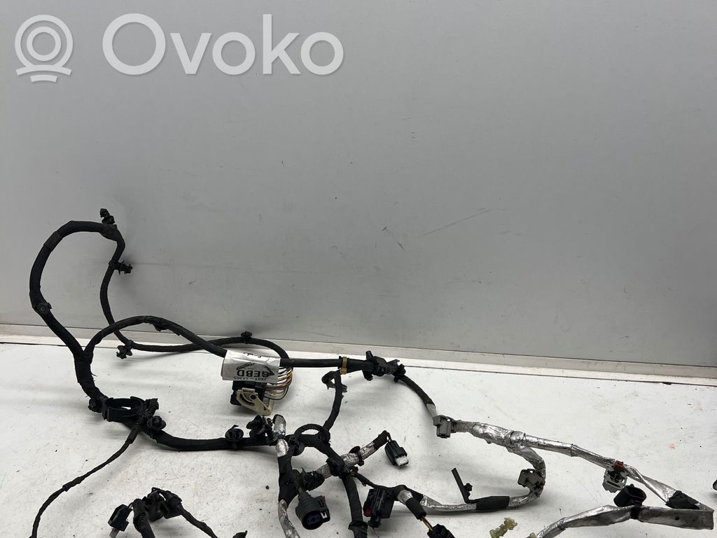 Ford Focus Otros cableados 