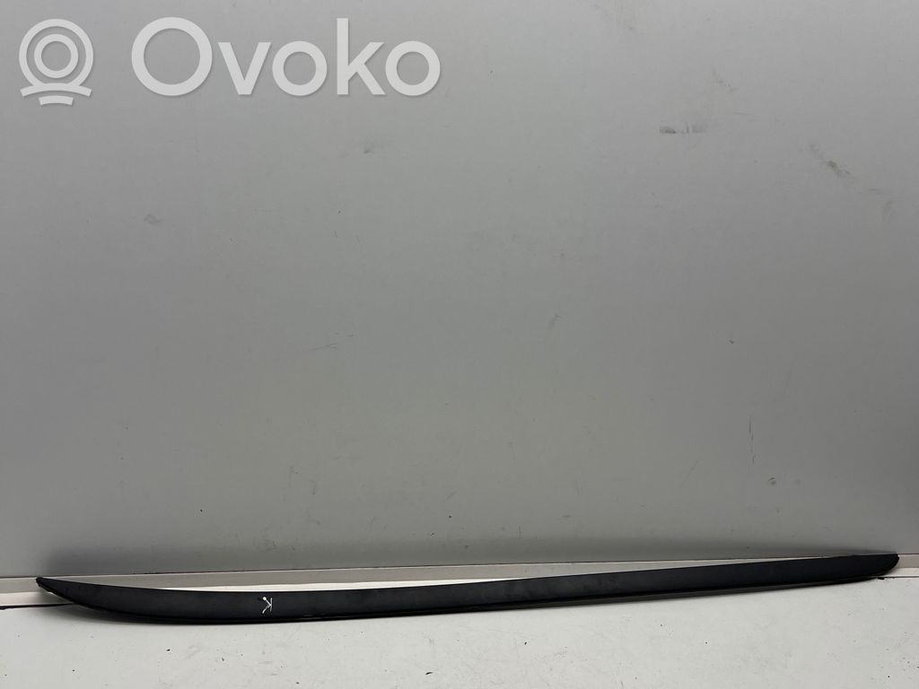 Ford Focus Windshield trim 