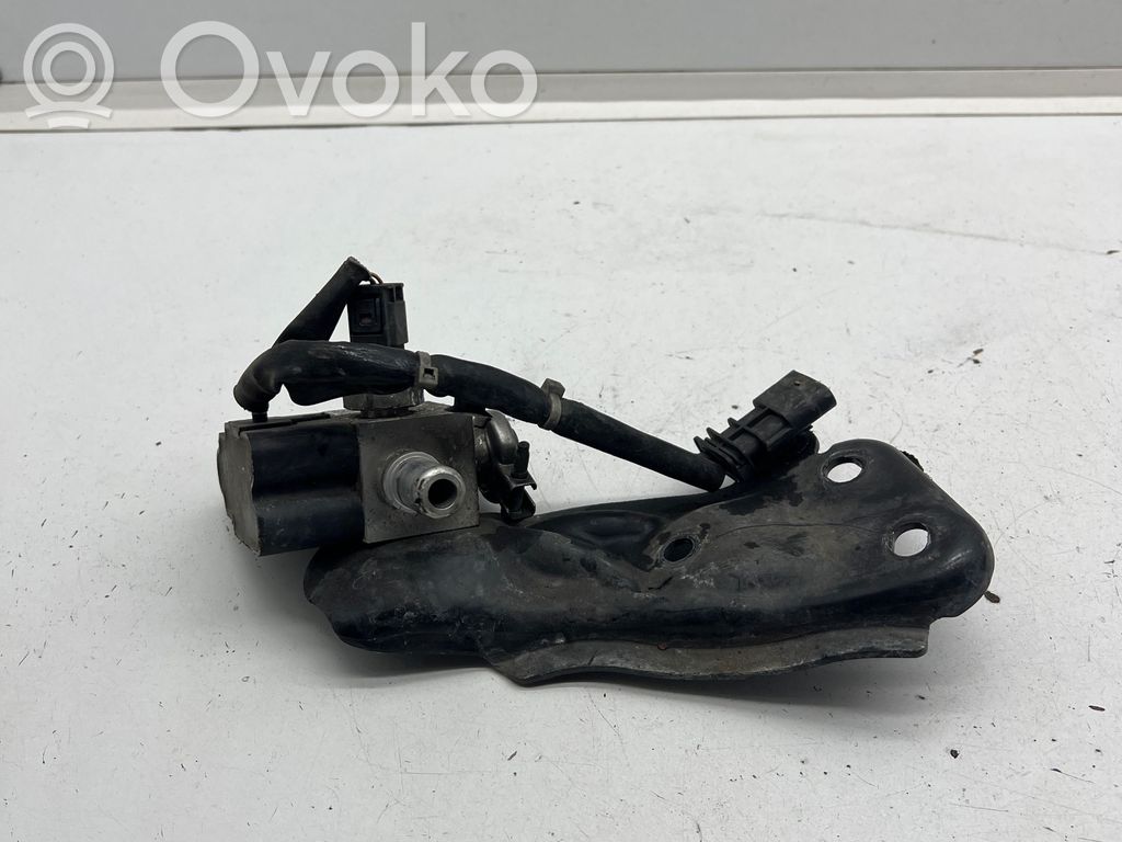 Válvula EGR   31493372