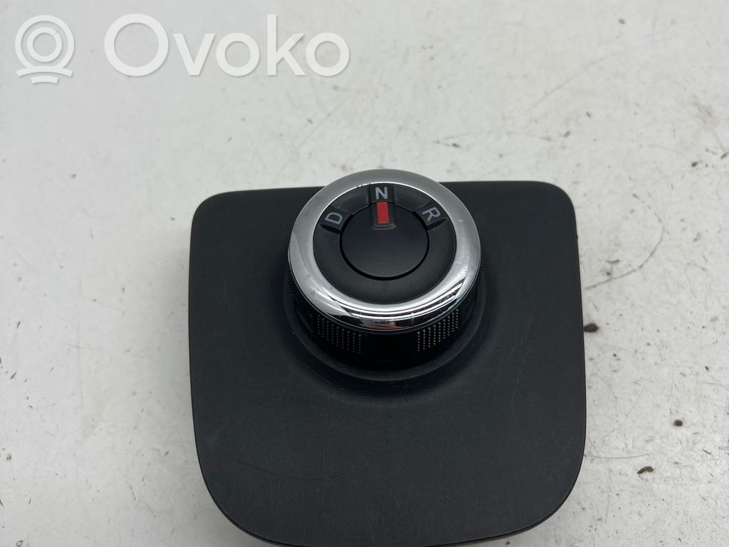Interruptor/perilla de marchas   251305880R,S32206000