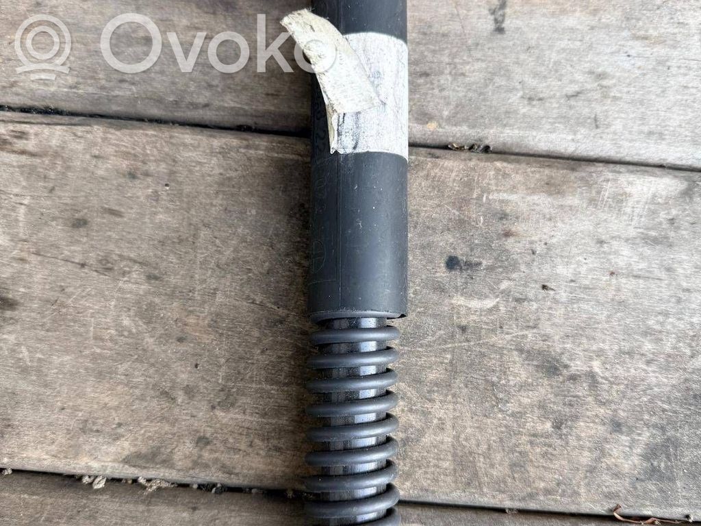 Tailgate/trunk strut/damper   8220072