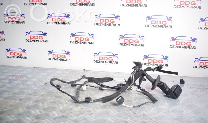 Cableado de puerta delantera   241248491R