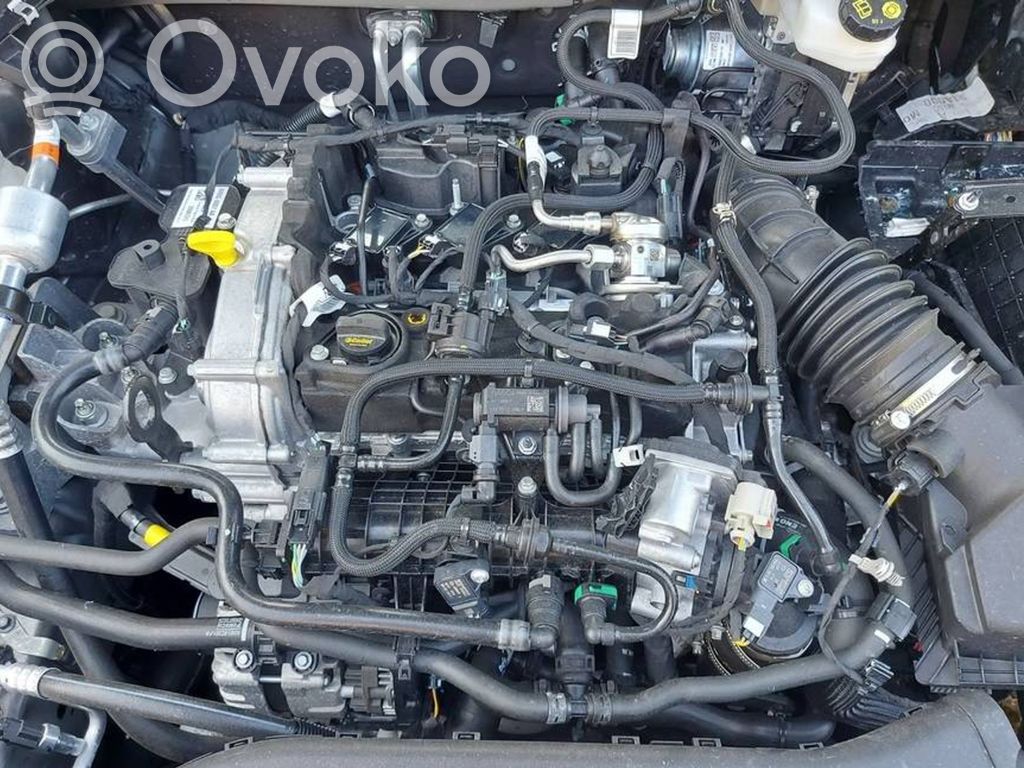 Austauschmotor   M0DC,NX6G6007AA