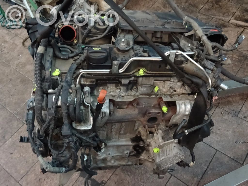 Motor