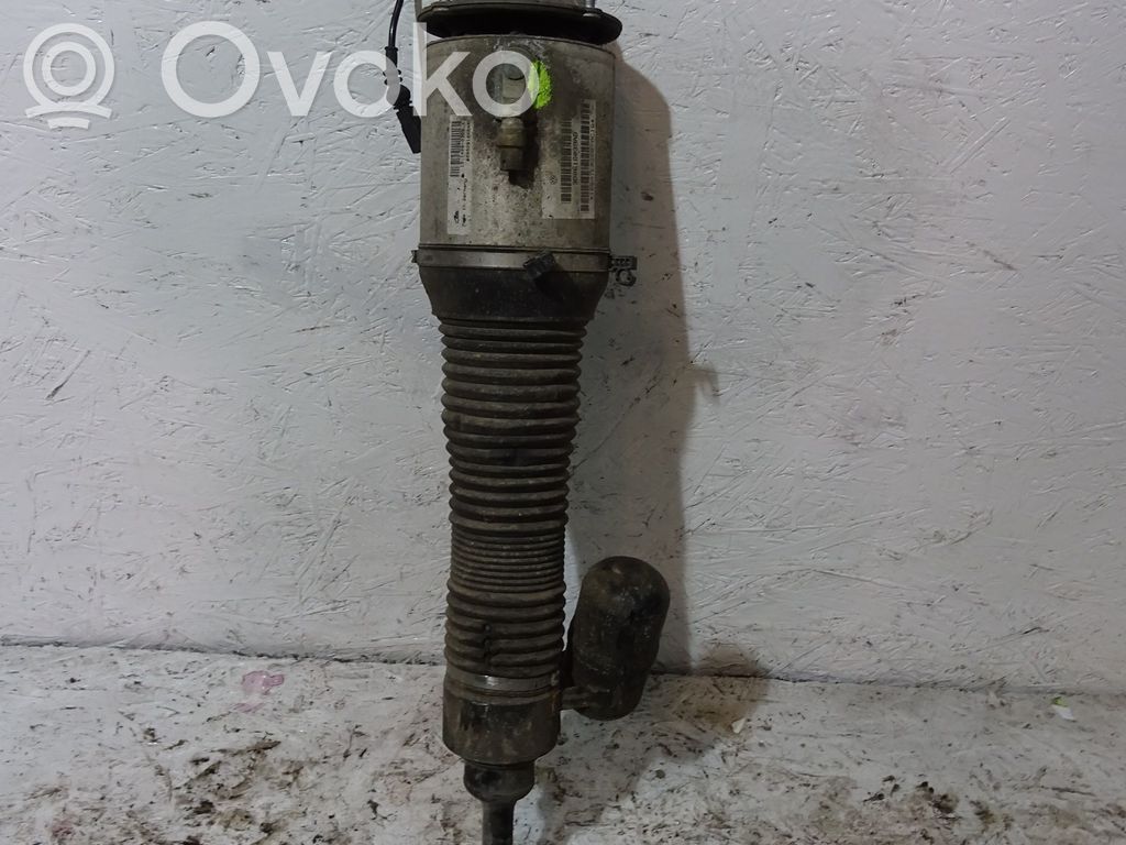 Amortyzator osi przedniej ze sprężyną   3D0616039AB,3D0616039AB