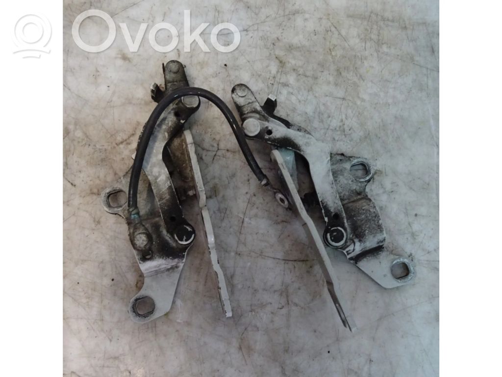 Engine bonnet/hood hinges