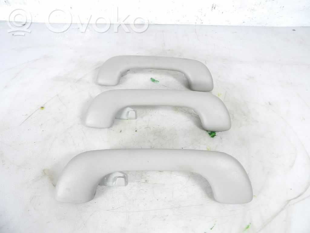 Asidero interior delantero