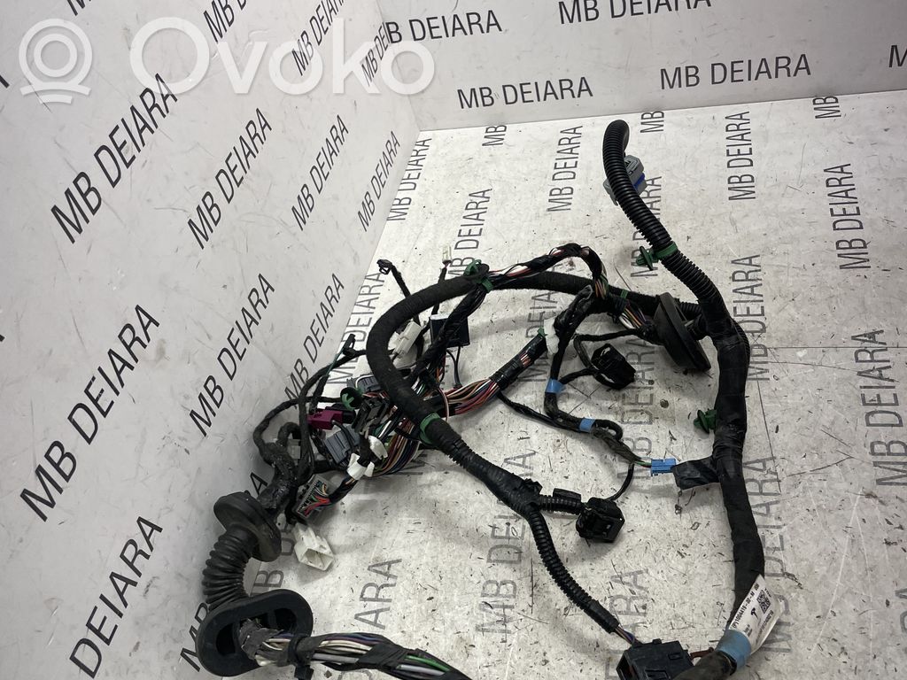 Tesla Model S Cableado de puerta delantera 