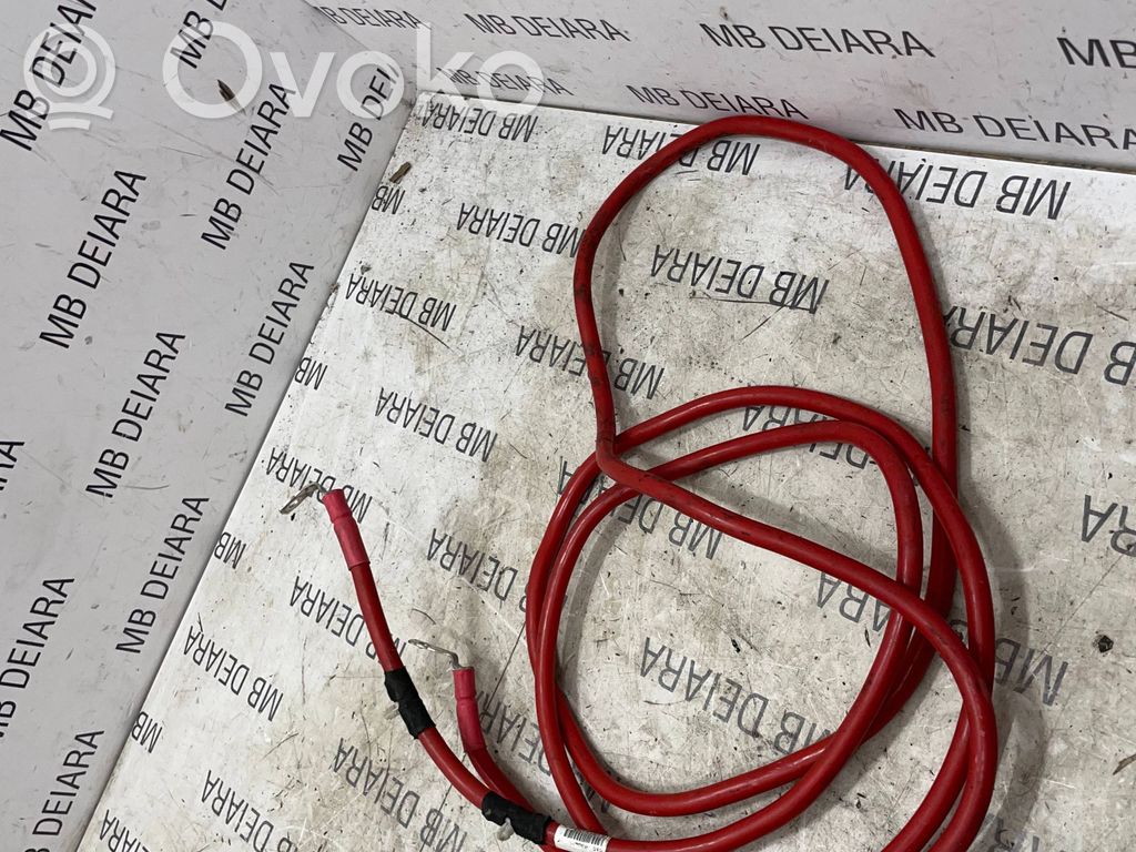 Positive cable (battery)   65502900