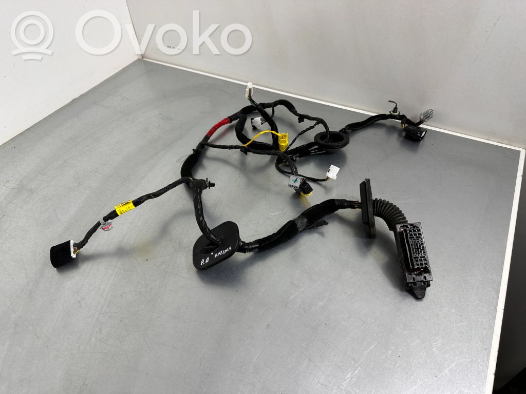 KIA Optima Cableado de puerta delantera 
