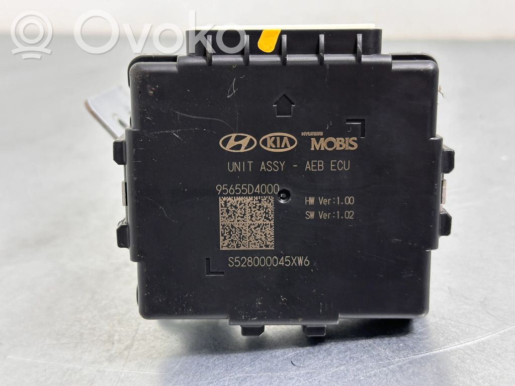 Brake system control unit/module   95655D4000
