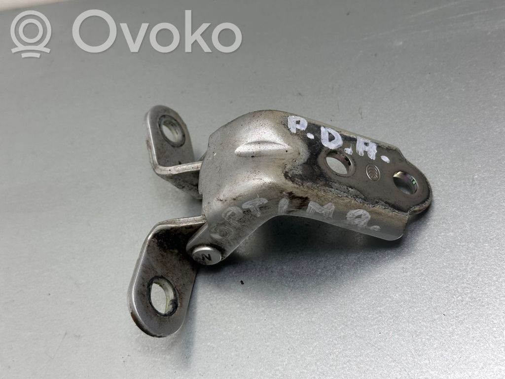 KIA Optima Front door lower hinge 