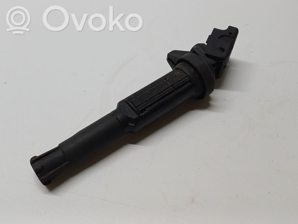 Aukštos įtampos ritė "babyna"   12137551260